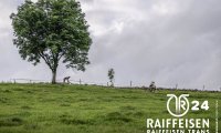 raiffeisen_trans_ponts_de_martel_24_00390