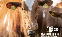05_raiffeisen_trans_couvet_25_00475