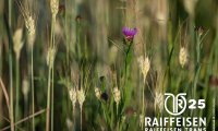 05_raiffeisen_trans_couvet_25_00664