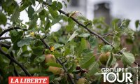 04_get_neirivue_09_26_00274