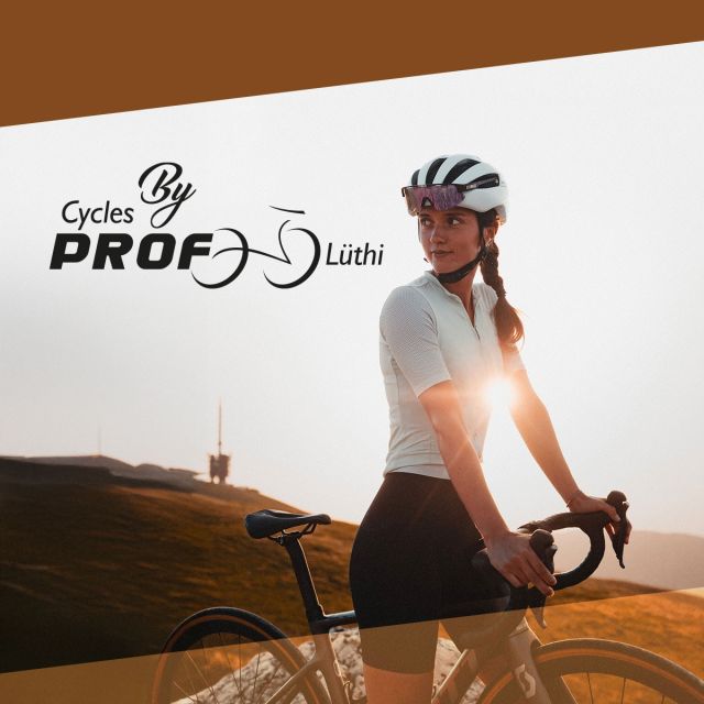 Cycles Prof Lüthi